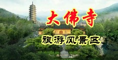 日本BBW老妇内射中国浙江-新昌大佛寺旅游风景区